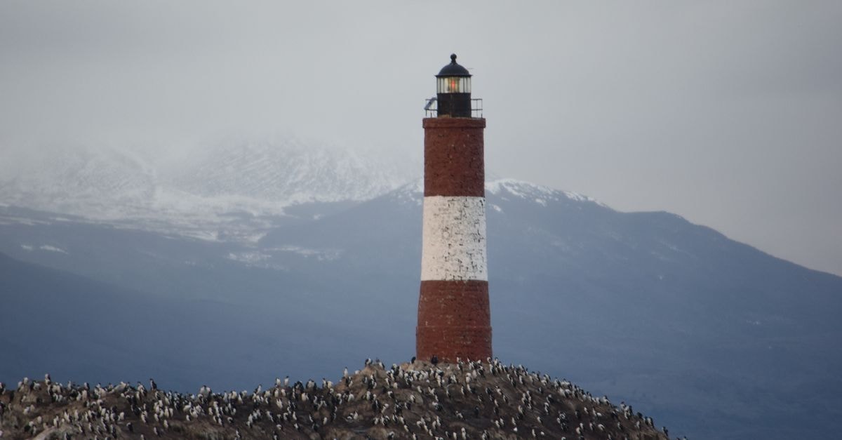 Ushuaia Travel Guide: Southern Light, Slow Plates The iconic lighthouse with penguins and mountains in Ushuaia, Argentina is a stunning scene.