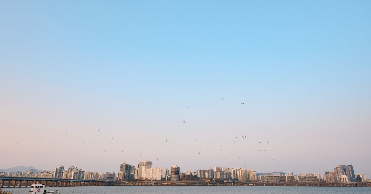 Songdo Central Park Hotel, Incheon — Steps from Songdo Central Park Tranquil view of a modern city skyline at dusk with birds over the river.