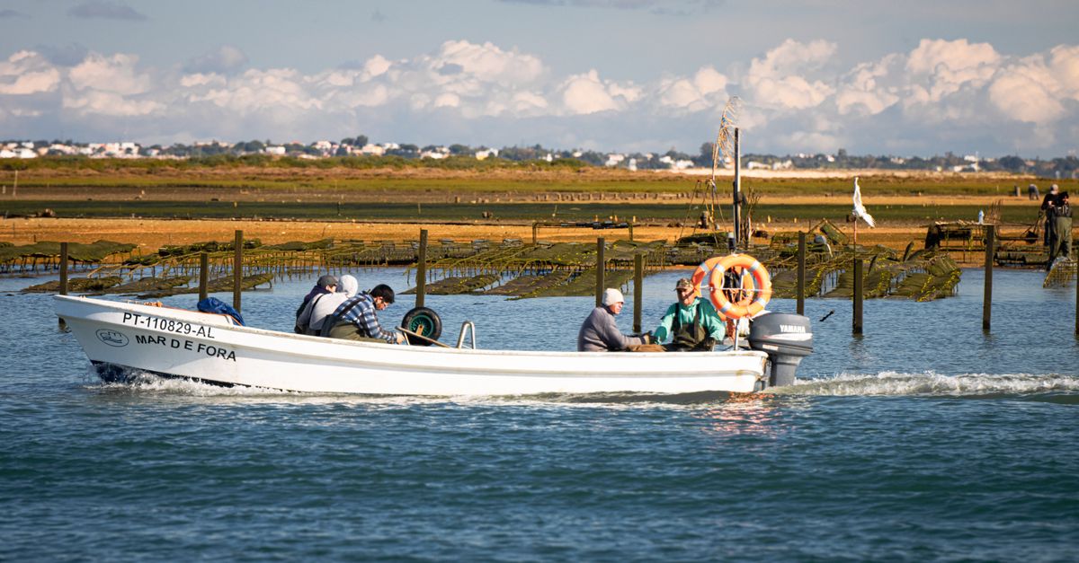 Fishermen on a boat in Ria Formosa, Olhão, Portugal, capturing the vibrant coastal life.