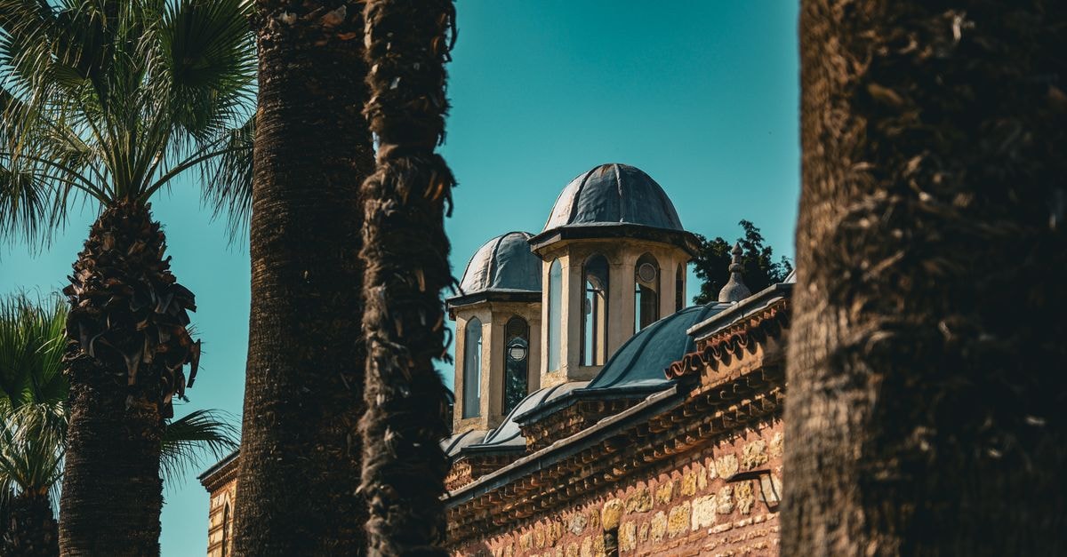 Hyatt House Gebze, Türkiye — Steps From Gebze Center Mall A historic mosque surrounded by palm trees in Gebze, Kocaeli, Türkiye, captured during the day.