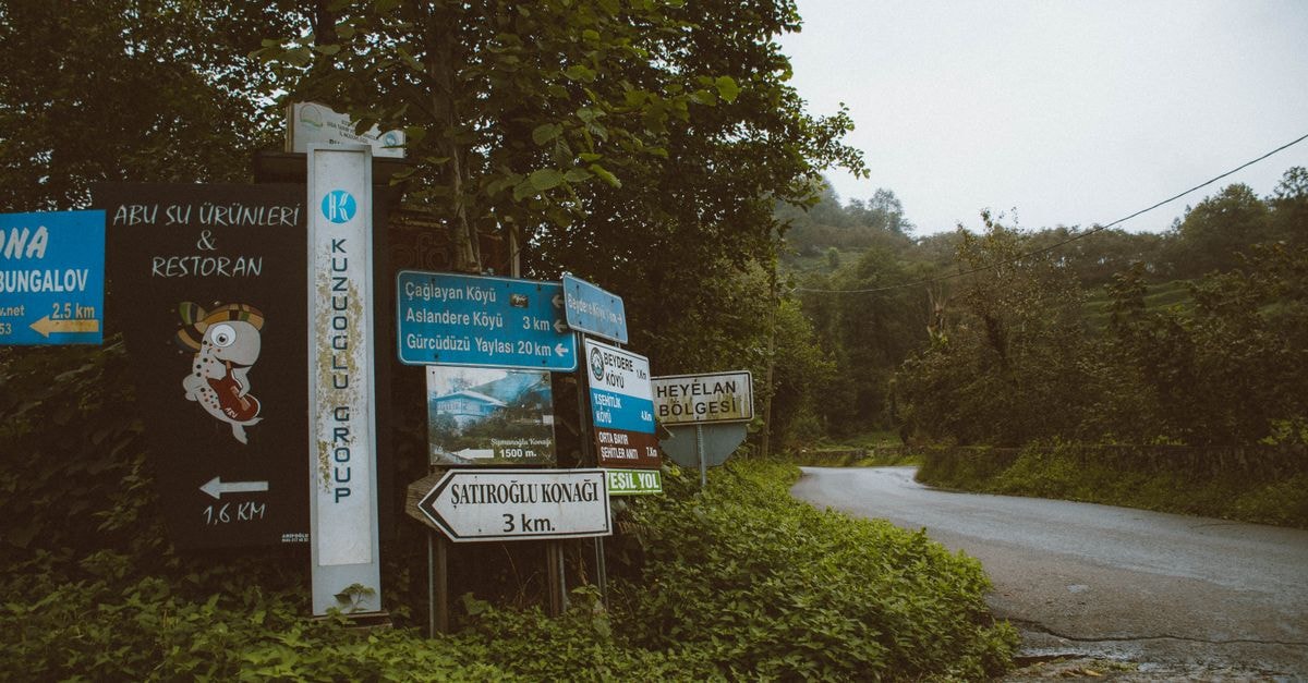 Şamaxı Travel Guide: Weather Rhythm and Flavorful Context A collection of road signs surrounded by lush greenery, indicating local destinations on a rural road.