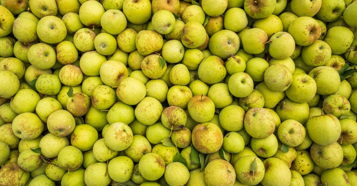 Apple Shares Slide After Final Cook Earnings Call Flags Supply Shortages and Slower Growth Top view of a large collection of fresh green apples, perfect for food and agriculture themes.