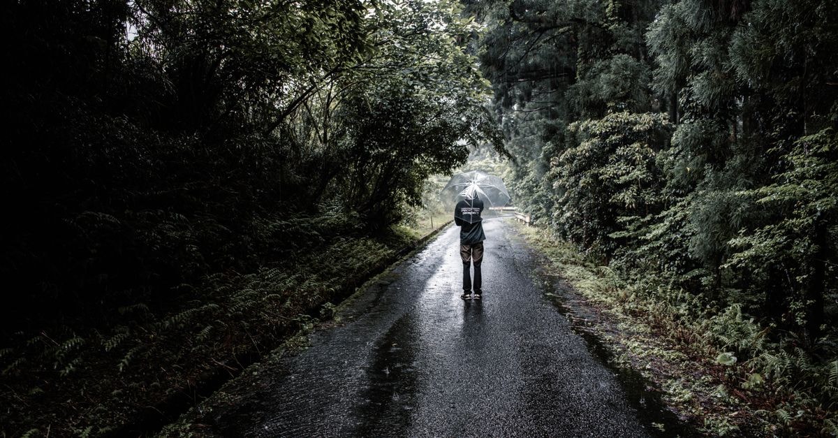 Hostel Tomal in Kagoshima: A Showa-Retro Stay on Tomaru Bldg's Top Floor A solitary figure with an umbrella walks down a rainy forest road in Yakushima, Japan.
